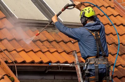 Démoussage et hydrofuge de toiture à Lencloître